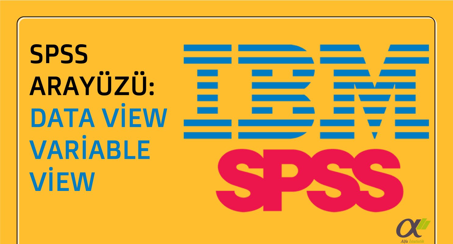 SPSS Programı Arayüzü: Data View ve Variable View