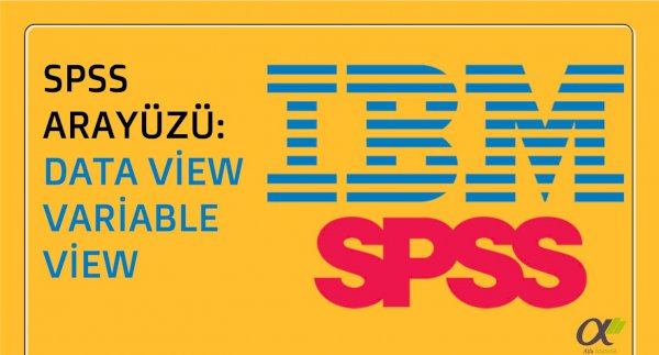 SPSS Programı Arayüzü: Data View ve Variable View